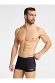 Swimwear na basen men's Henderson Globe 40776